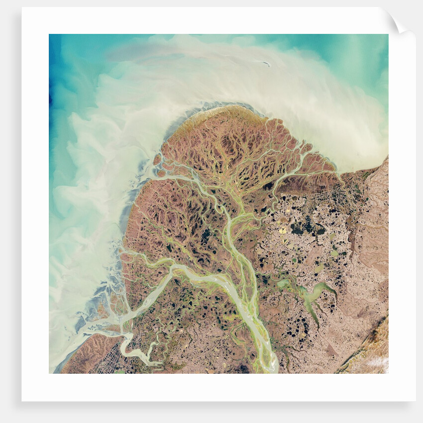 Yukon River Delta, Alaska by Anonymous