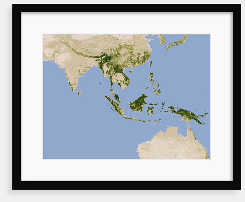 Carbon Stored in Tree Biomass in Tropical Asia by Anonymous