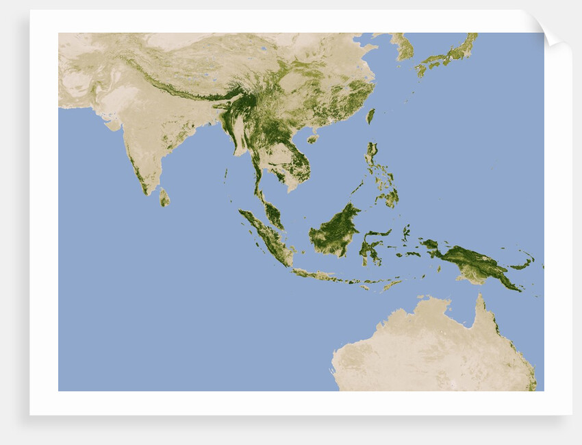 Carbon Stored in Tree Biomass in Tropical Asia by Anonymous