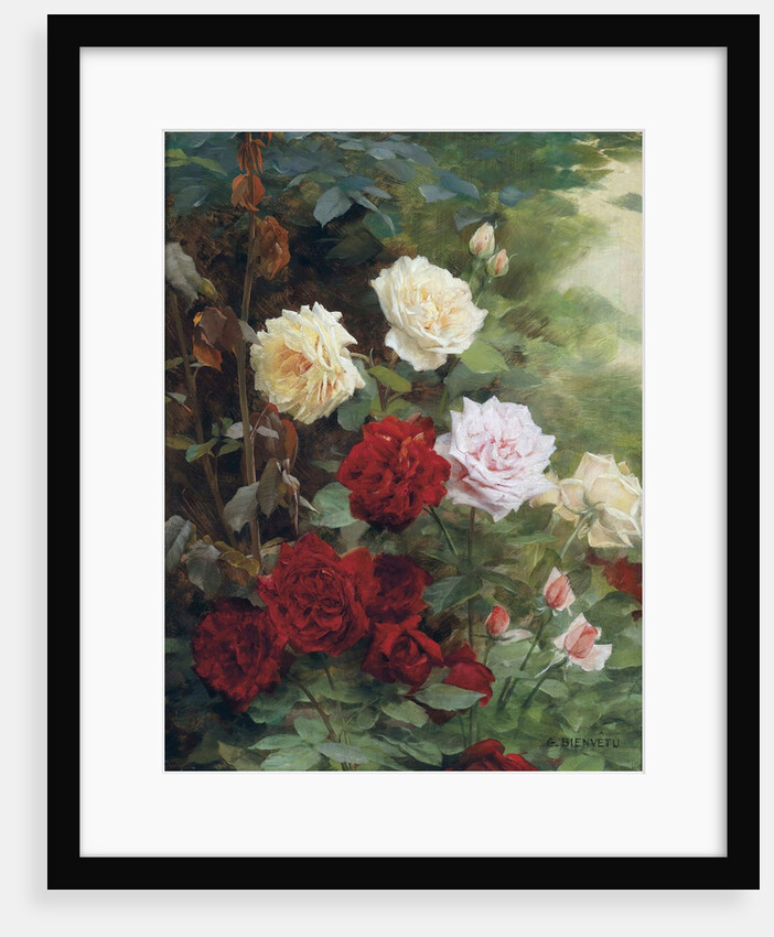 Roses by Gustave Bienvetu
