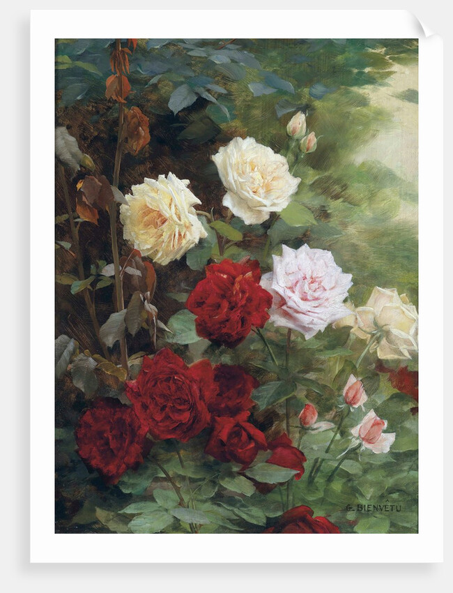 Roses by Gustave Bienvetu