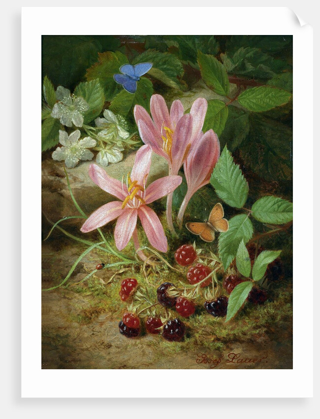Autumn Flower with Blackberries by Josef Lauer