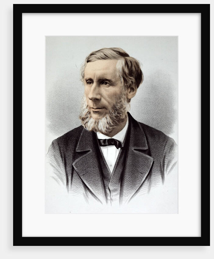 Professor John Tyndall FRS by Anonymous