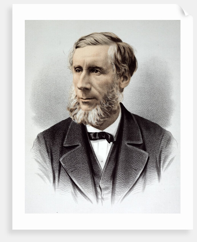 Professor John Tyndall FRS by Anonymous