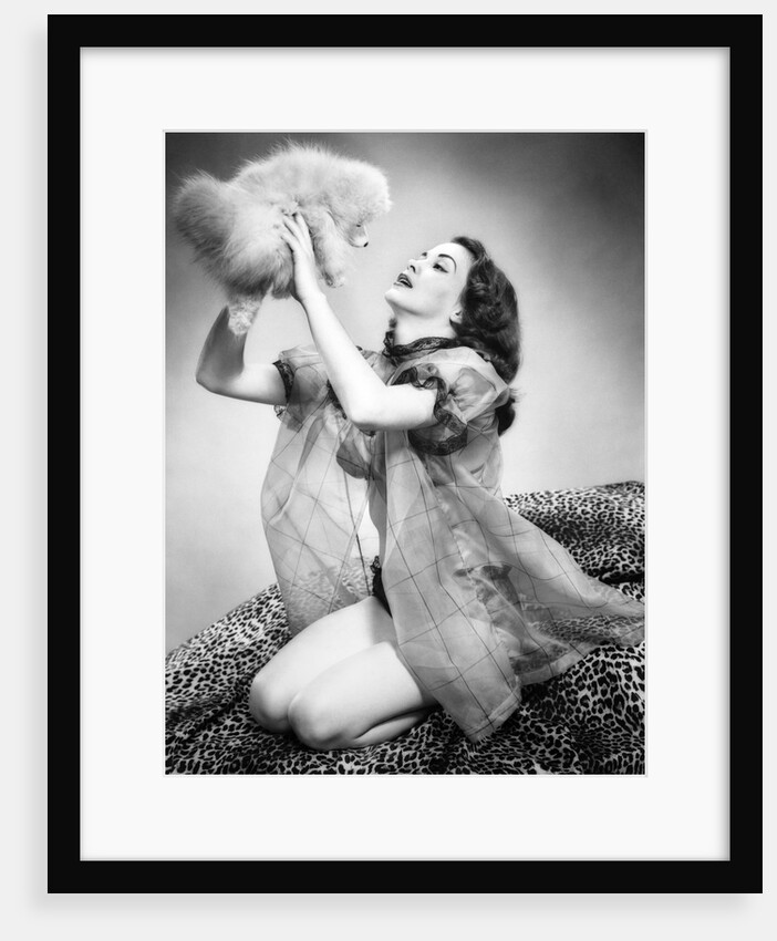 1950s young woman wearing sexy lingerie kneeling on leopard skin holding fluffy dog by Anonymous