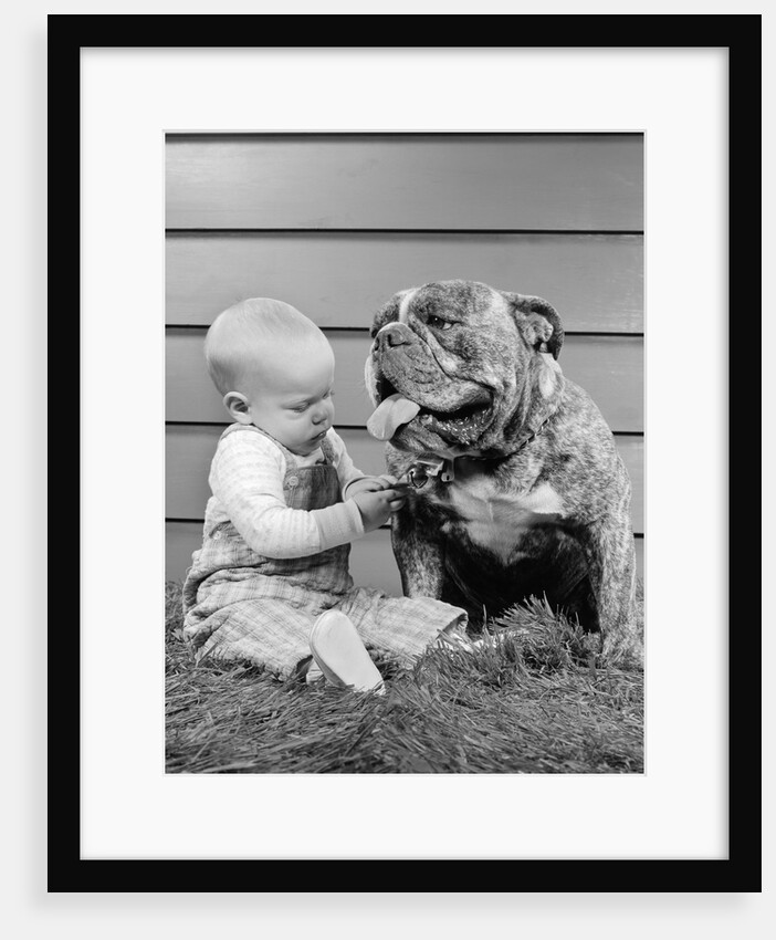 1950s 1960s baby sitting playing with bulldog studio by Anonymous