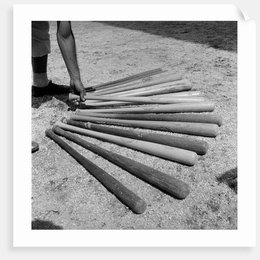 1950s baseball player selecting from a variety of bats by Anonymous