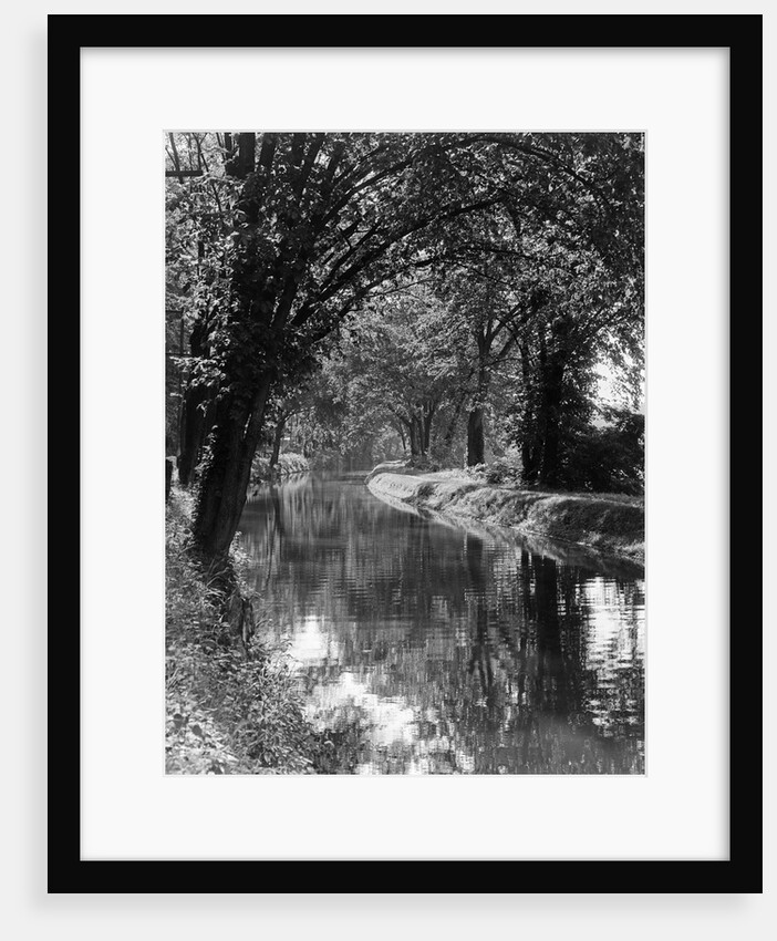 1920s 1930s water in section of abandoned delaware canal reflecting trees lining its banks by Anonymous