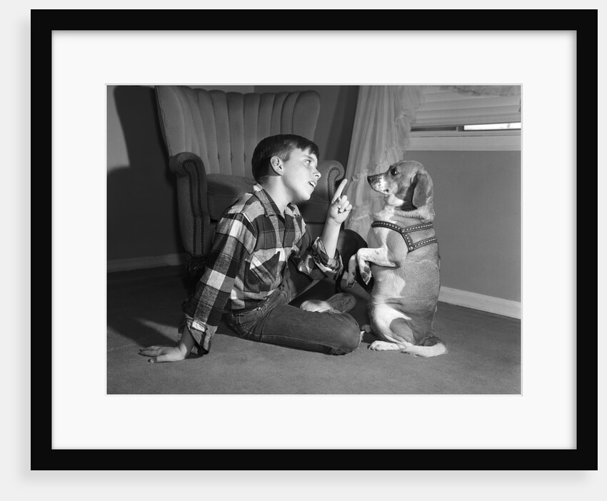 1950s boy in plaid shirt shaking finger at dog sitting up on rear legs by Anonymous