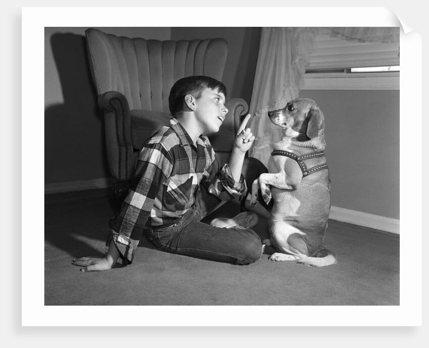 1950s boy in plaid shirt shaking finger at dog sitting up on rear legs by Anonymous
