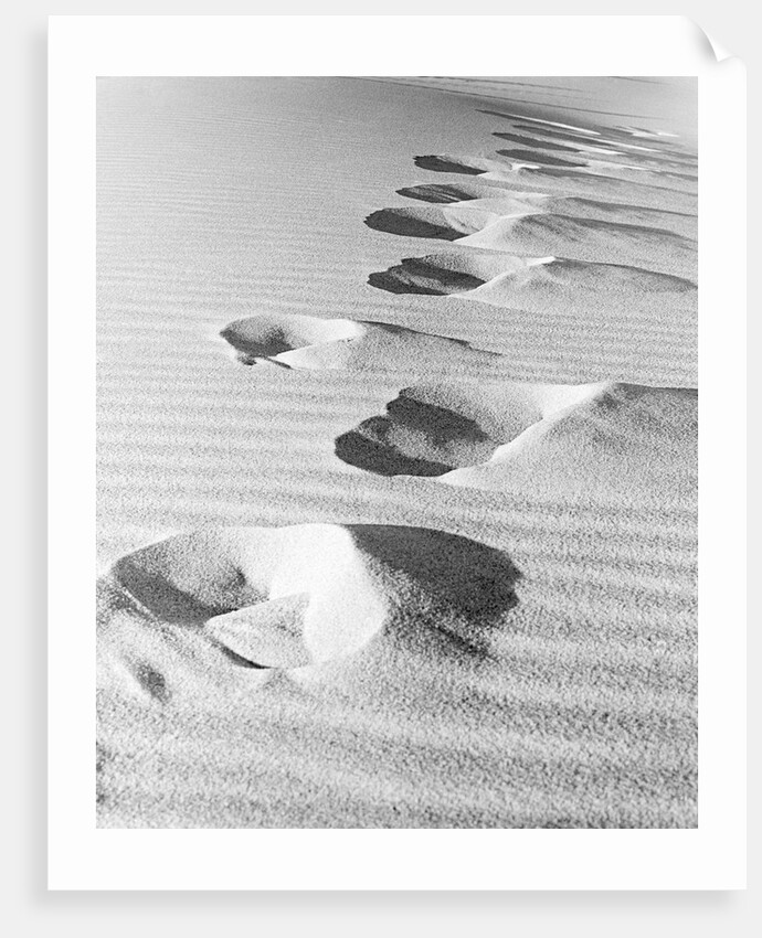 1950s footsteps in sand dunes by Anonymous