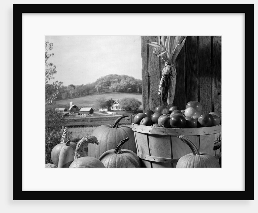 1960s barn door corn apples pumpkins autumn harvest time by Anonymous