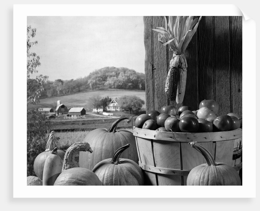 1960s barn door corn apples pumpkins autumn harvest time by Anonymous