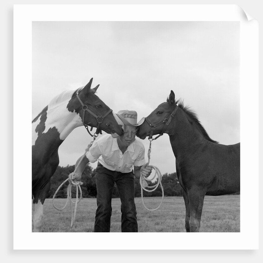 1960s boy wearing cowboy hat holding ropes reins harness halter of 2 horses one on either side of his face kissing him funny by Anonymous
