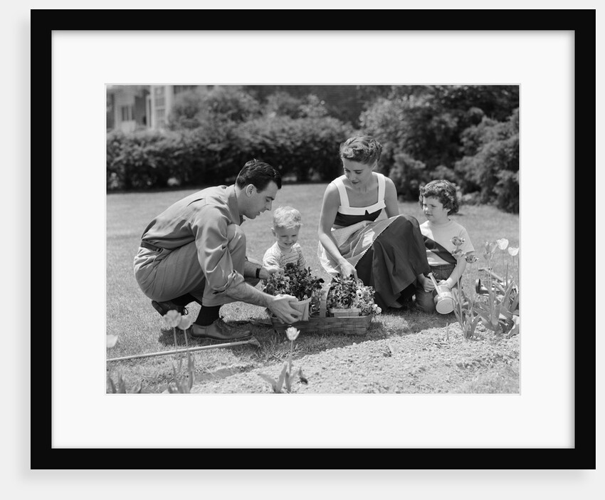 1950s family in garden planting flowers by Anonymous