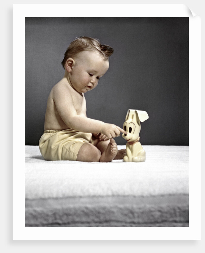 1940s 1950s baby sitting touching toy dog by Anonymous