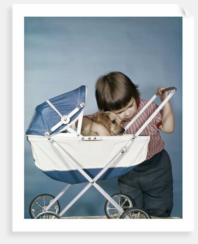 1950s 1960s little girl hugging cocker spaniel puppy riding in a baby carriage studio by Anonymous