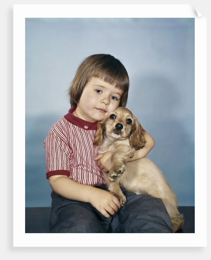 1950s 1960s winsome sad little girl sitting hugging a cocker spaniel puppy studio by Anonymous