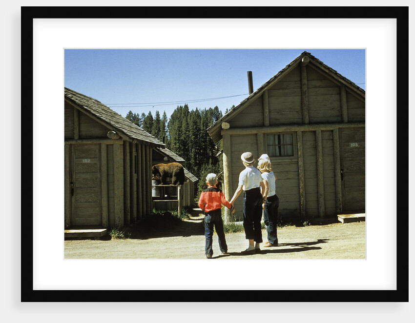 1950s mother and children visiting yellowstone national park wyoming 1956, looking at bear behind cabins by Anonymous