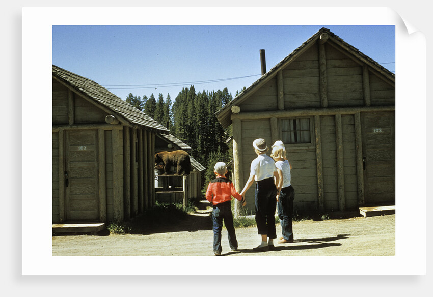 1950s mother and children visiting yellowstone national park wyoming 1956, looking at bear behind cabins by Anonymous