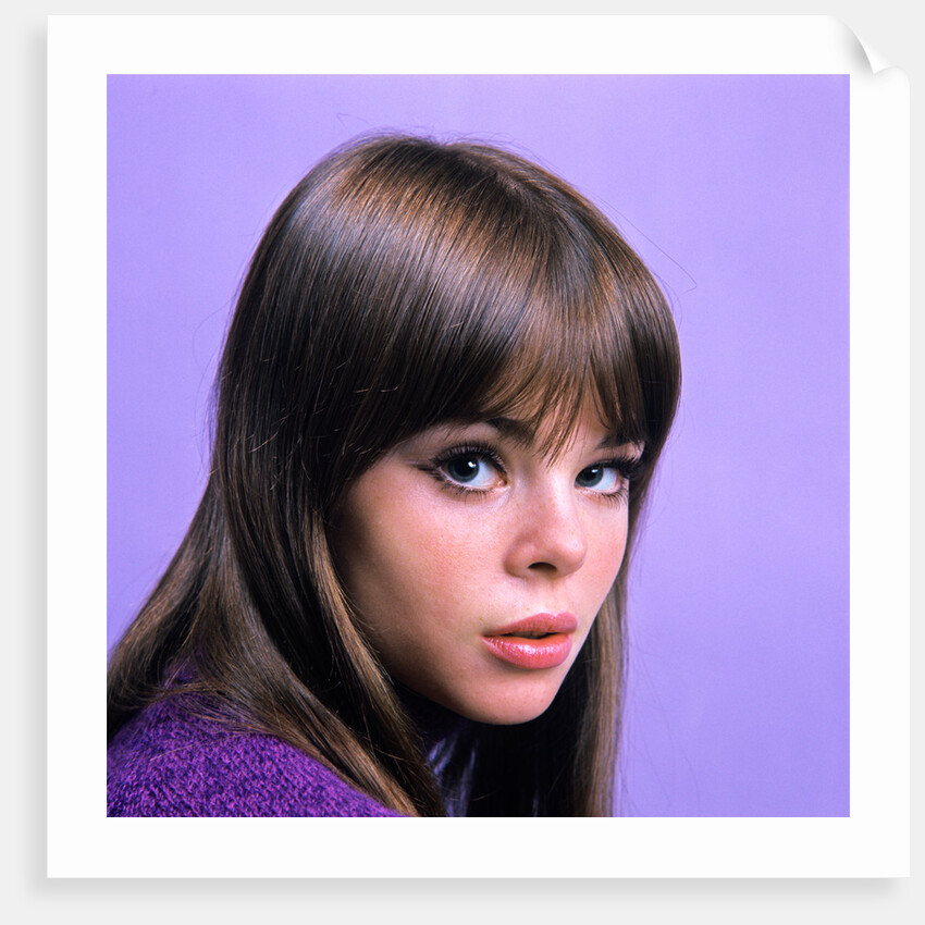 1960s portrait young brunette woman teen head shoulders purple background by Anonymous