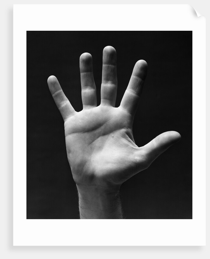 1930s palm of man's hand gesture of stop halt by Anonymous