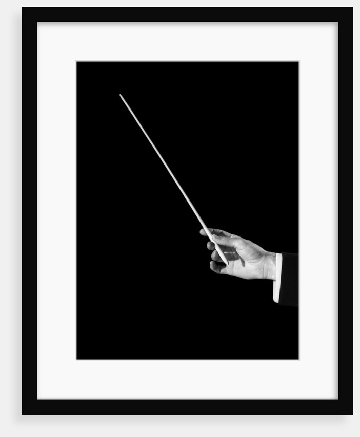 1950s male orchestra conductor's hand holding baton by Anonymous