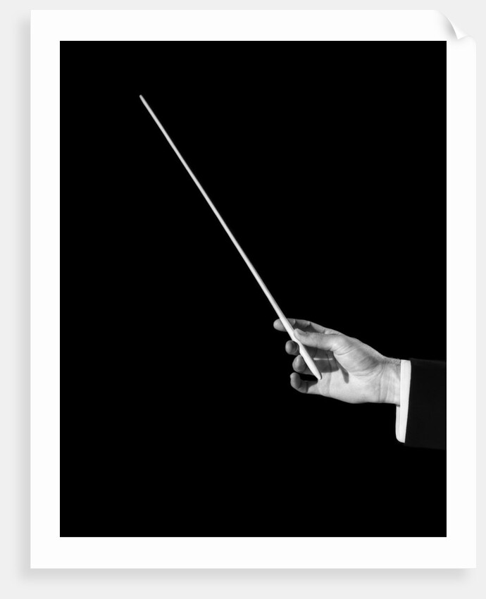 1950s male orchestra conductor's hand holding baton by Anonymous