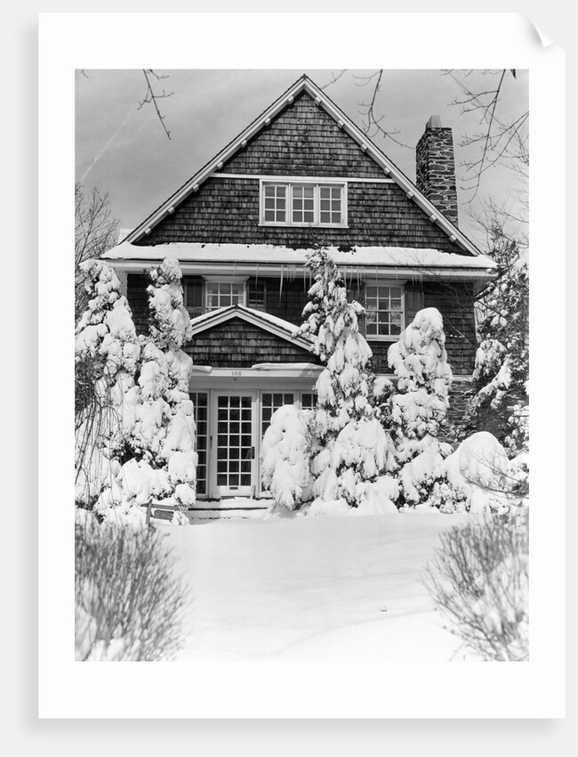 1940s three story shingle style house with pine trees and shrubs covered with snow by Anonymous
