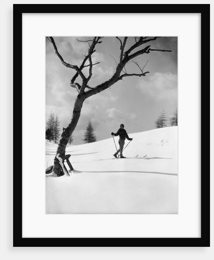 1920s 1930s silhouette of woman cross country skier near old tree by Anonymous