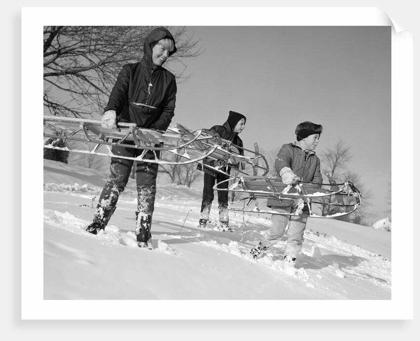 1960s three boys holding sleds looking downhill by Anonymous