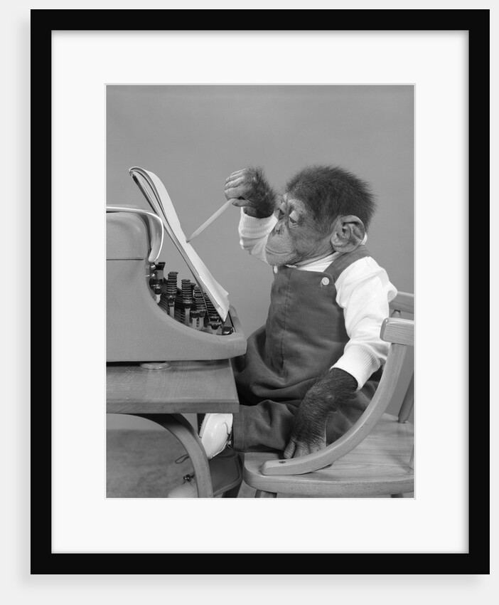 1950s chimp in overalls sitting in chair at typewriter with pencil & steno pad by Anonymous