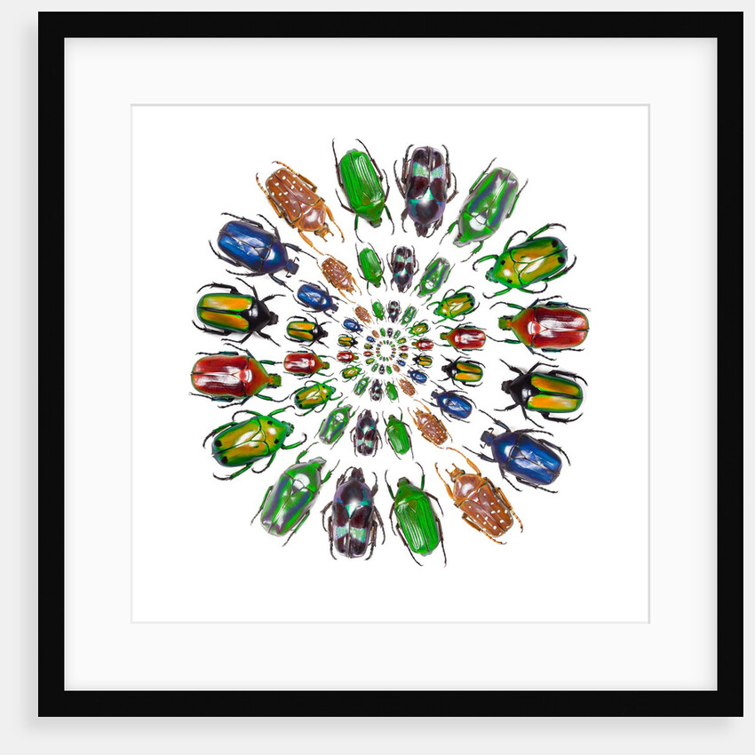 Flower Beetles in circular pattern design by Anonymous