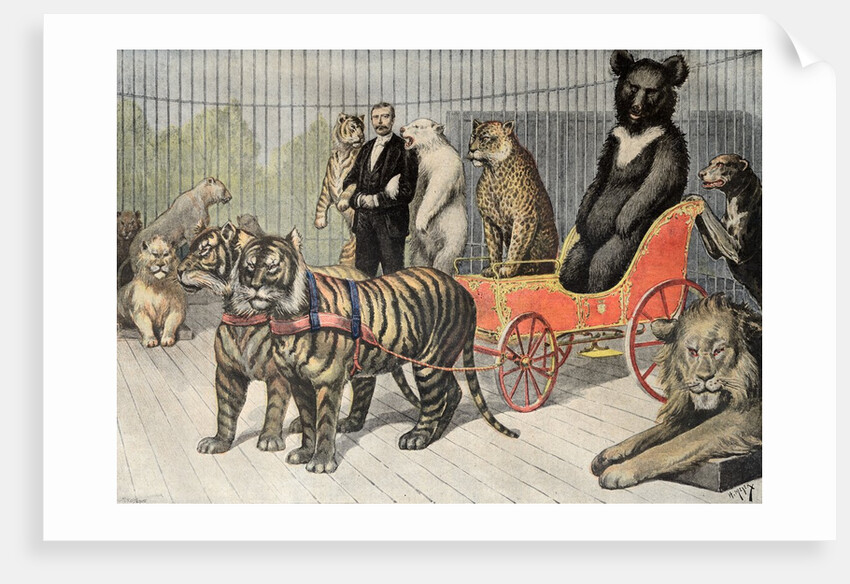 Jardin d'Acclimatation Paris Zoo (1895) by Anonymous