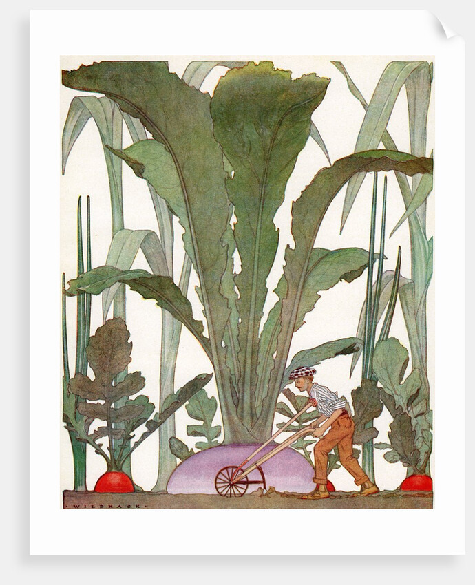 Farmer cultivating a giant turnip and radishes by Anonymous