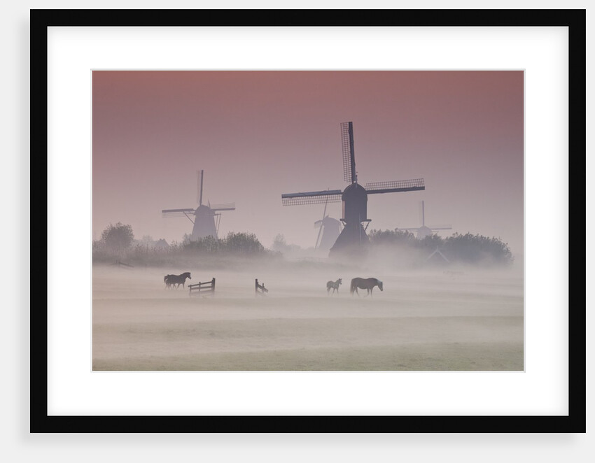 Sunrise and morning fog with Silhouetted Windmills and horses in field Kinderdijk, Netherlands by Anonymous