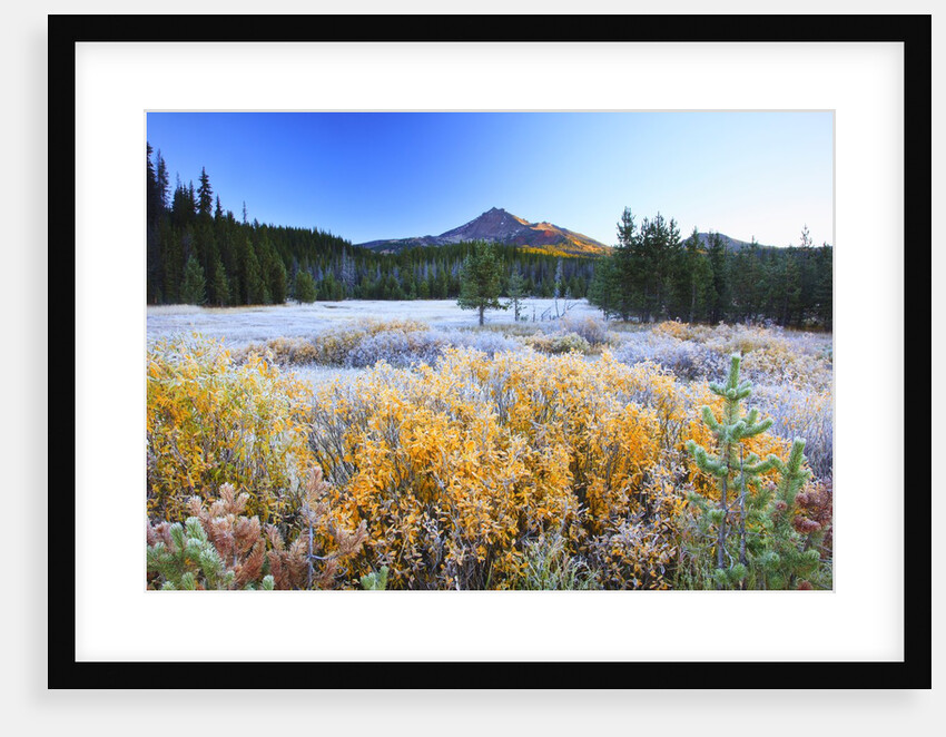 morning frost adds beauty to Broken Top, Three Sisters Wilderness, Oregon Cascades, by Anonymous