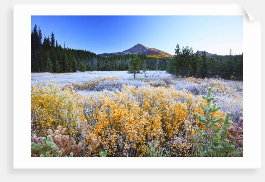 morning frost adds beauty to Broken Top, Three Sisters Wilderness, Oregon Cascades, by Anonymous