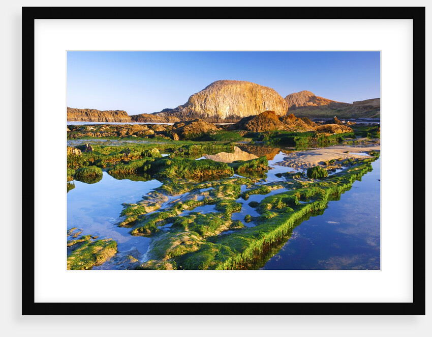 tide pools along beach, Seal Rock State Park, Oregon Coast, Pacific Ocean, Pacific Northwest. by Anonymous