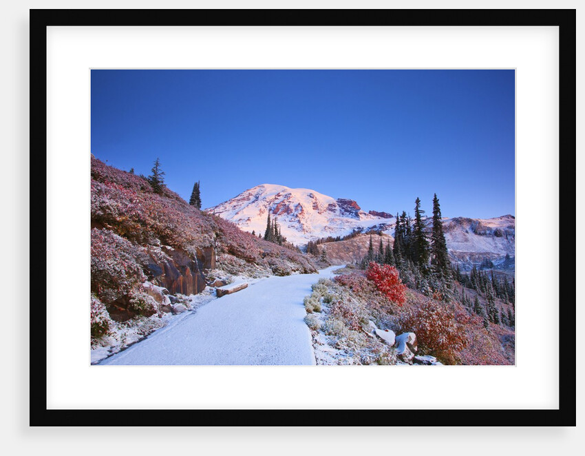 sunrise over Mt. Rainier with snow on fall colors, Washington State by Anonymous