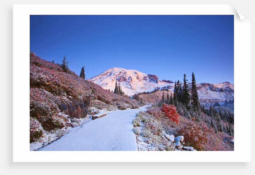 sunrise over Mt. Rainier with snow on fall colors, Washington State by Anonymous
