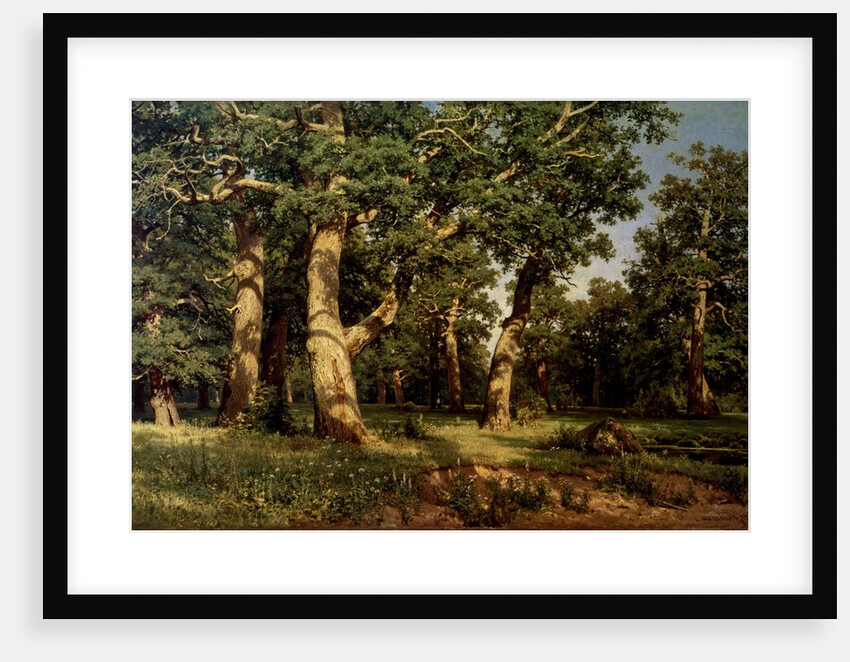 Shishkin I. Painting by Anonymous