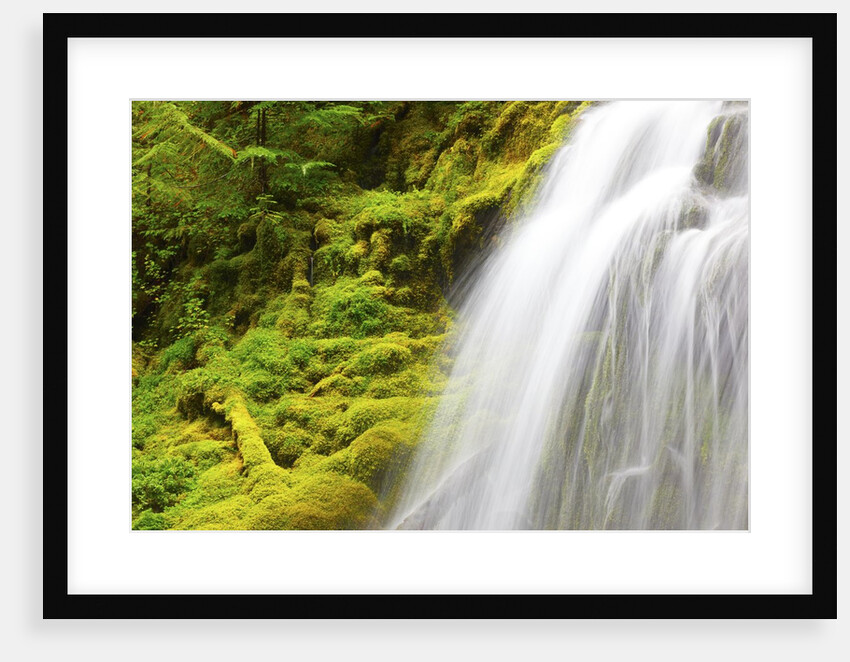 Beautiful Proxy Falls, Willamette National Forest, Oregon Cascade Mountains. Pacific Northwest by Anonymous