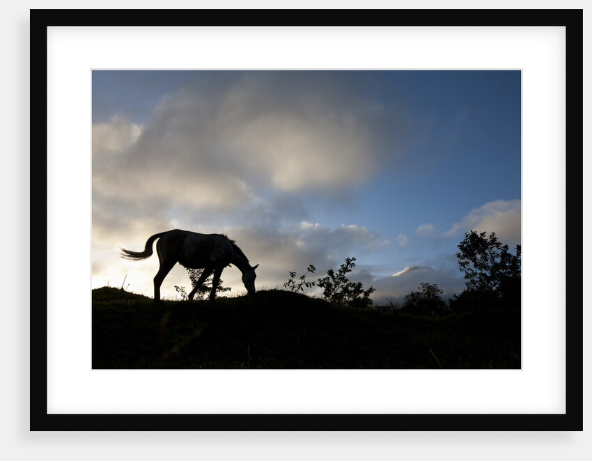 Horse and Arenal Volcano, Costa Rica by Anonymous