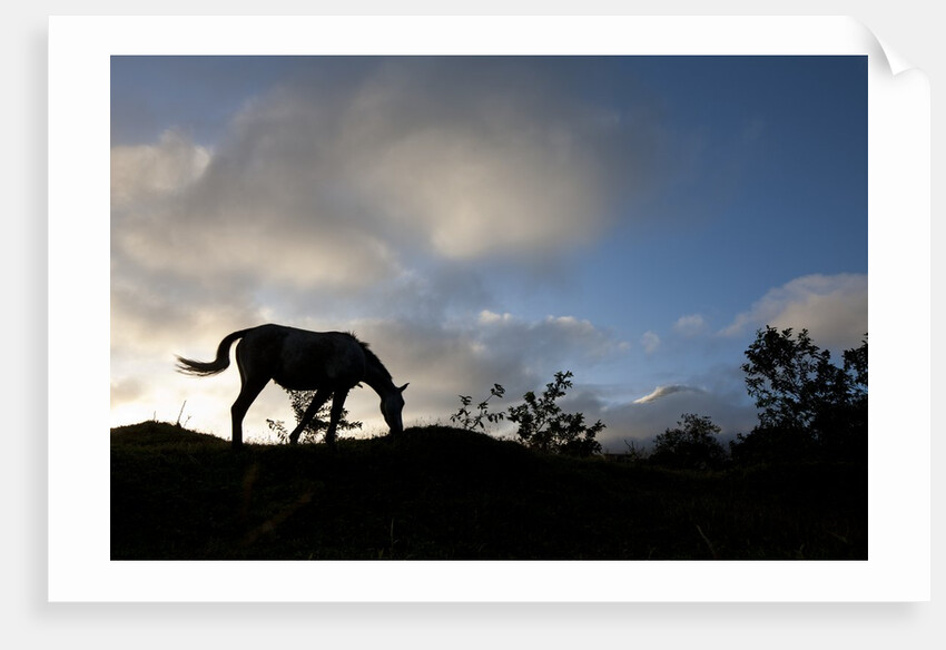 Horse and Arenal Volcano, Costa Rica by Corbis