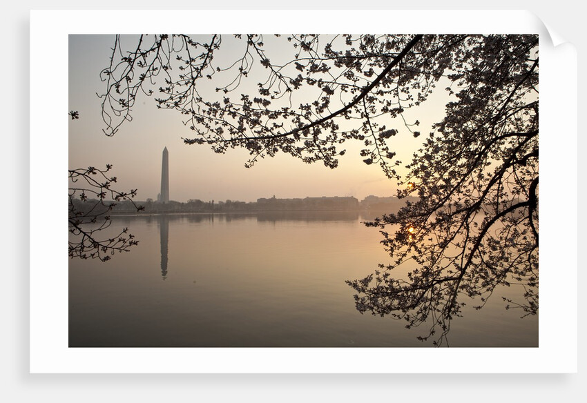 Sunrise over Tidal Basin by Anonymous