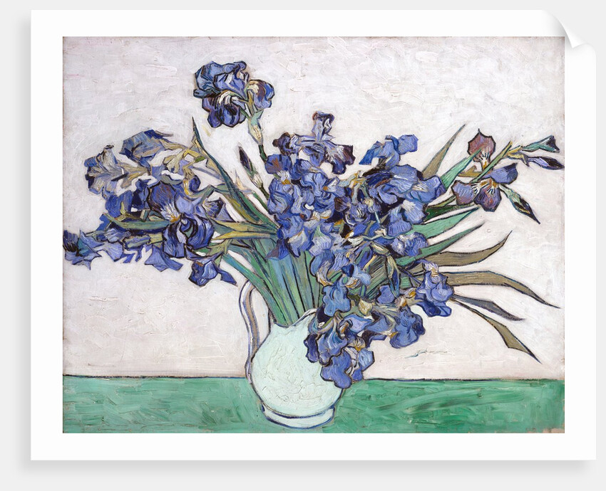 Irises by Vincent Van Gogh