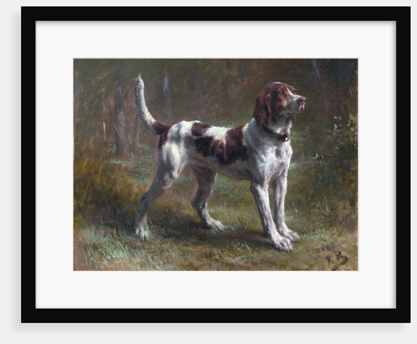 A Limier Briquet Hound by Rosa Bonheur
