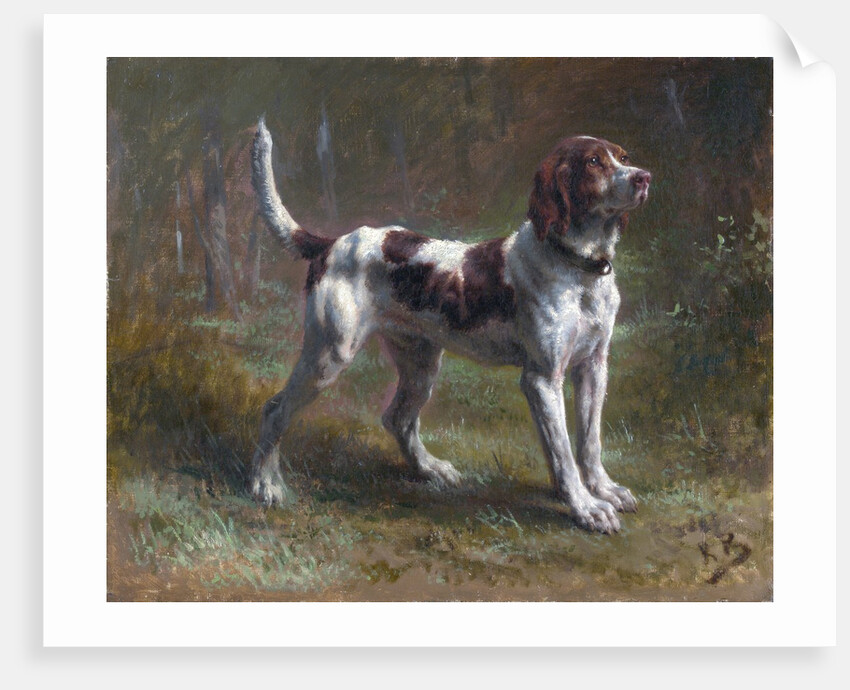 A Limier Briquet Hound by Rosa Bonheur