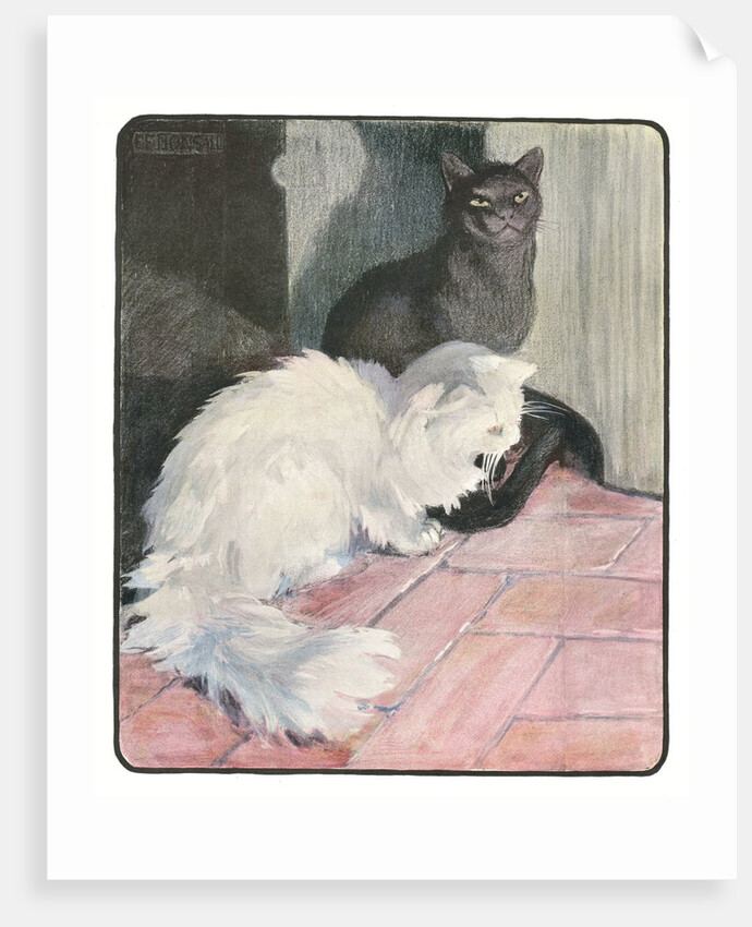A White and Black Cat Sitting on a City Stoop by Anonymous